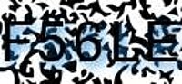 grafischer Sicherheitscode